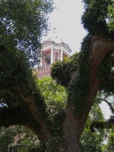 St. Joseph's Abbey, Covington