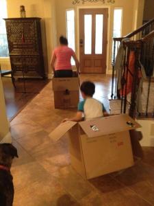 box races
