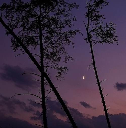 From Creative Commons