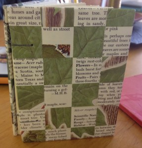 Scribble and Jot journal