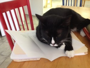 Mimi naps on a poem.