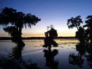 Photo by Marjorie Pierson, all rights reserved.