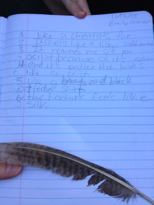 emily private eye poem