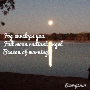 Photo by John Gibson.  Haiku by Margaret Simon, all rights reserved.