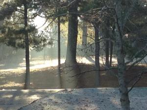 Morning Light, photo by John Gibson