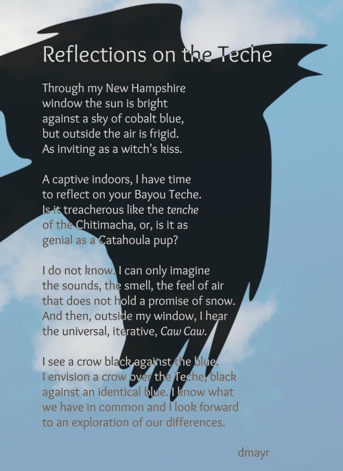 reflections on the teche copy