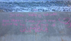 Snow falling outside Ice storm Leon gave me time for fun and lots of Gumbo! --Brooklyn