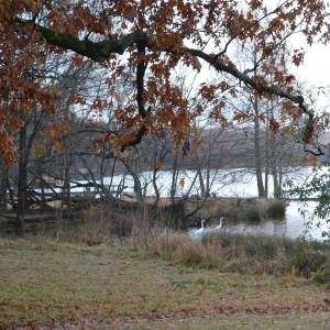 Photo by Beth Saxena