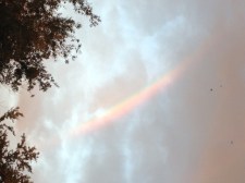 rainbow 1
