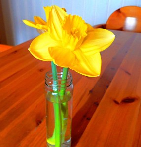 Creative Commons, flickr, by photosteve101