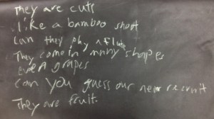 They are cute like a bamboo shoot Can they play a flute? They come in many shapes, even grapes. Can you guess our _____ They are fruit.  Tyler and Kendall