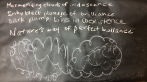 Mesmerizing clouds of iridescence Inky black plumage of brilliance Dark plump birds in coexistence Nature’s way of perfect balance. Kaylie and Matthew