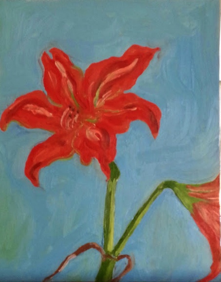 Backyard Amaryllis by Sarah Hazel