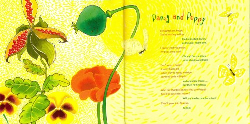 Pansy and Poppy VBPL