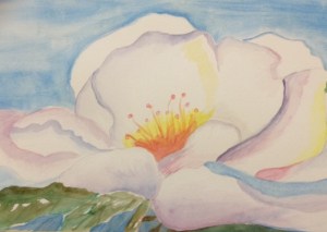 Watercolor magnolia by Margaret Simon.