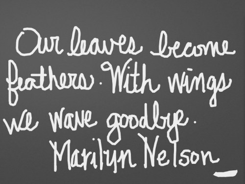 chalk Marilyn Nelson