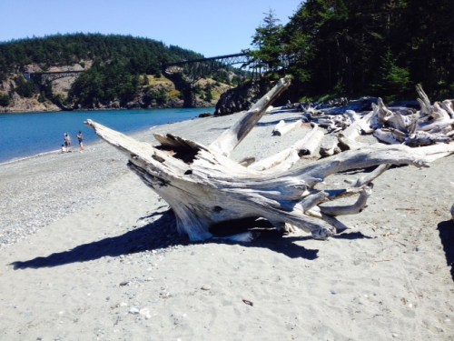 deception pass 1