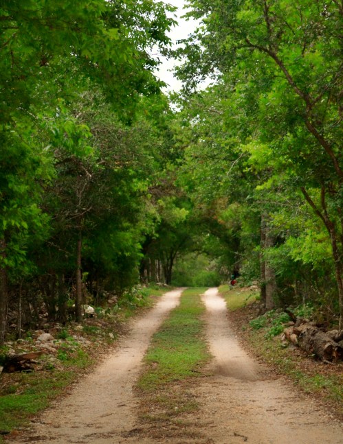 Photo by Wendi Romero, all rights reserved.