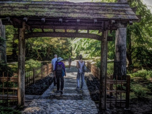 Follow me through the Japanese Garden to discover gnomes among the moss and fairies in the trees.   
