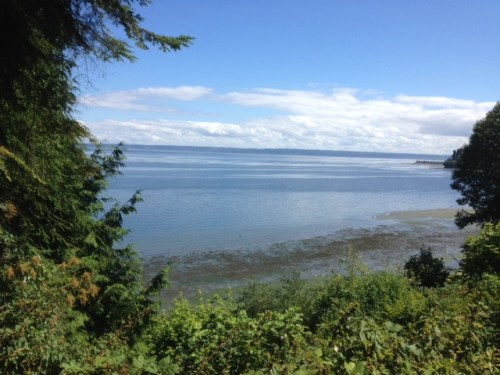 Pacific angels send a breeze of salty healing air through my lungs to lighten my heart.