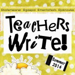 Kate Messner leads teacher writers in a writing camp this month.