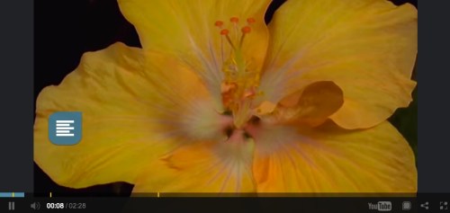 Click to follow the link to Thinglink video.