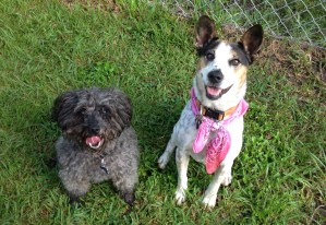 Charlie and his friend, Mollie.
