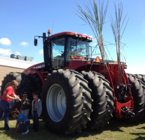 Sugarcane tractor on display at school.