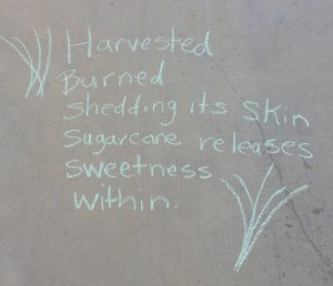 What's inside sugarcane?