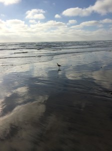 photo by Kim Douillard, all rights reserved.