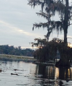 Sunset at Lake Martin, Breaux Bridge, LA.