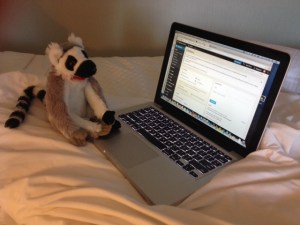 Emily snuck our class lemur, Jack, into my bag. He is helping me write my speech.