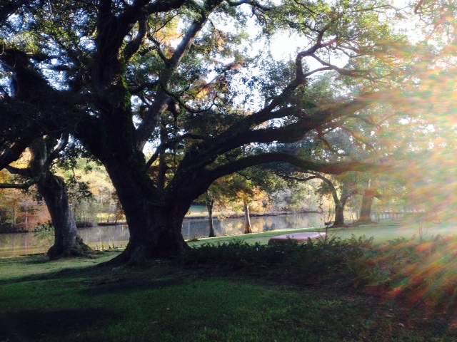 Lagniappe, a little something extra, in this photo, a rainbow spray reflected from the rising sun.