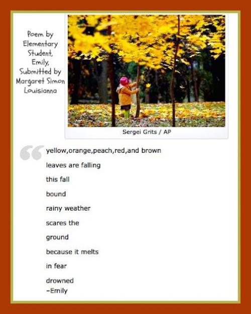 Emily's fall zeno poem.