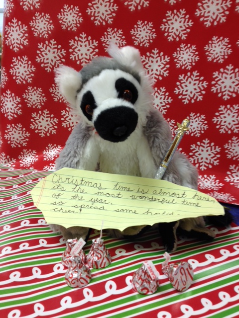 Jack the lemur wishes you a very merry Christmas!