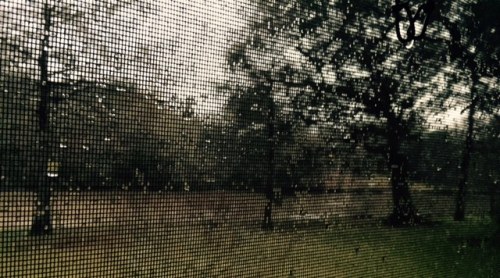 Through the screen door