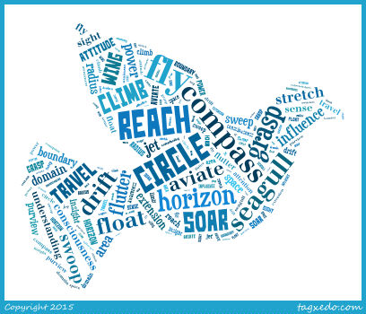 Fly word cloud 2