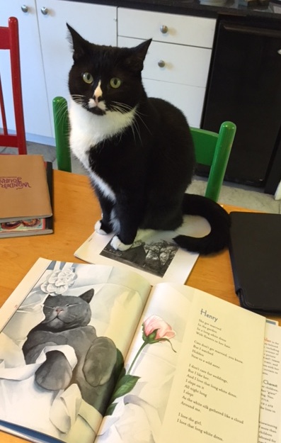 Mimi has no interest in poetry or Henry.