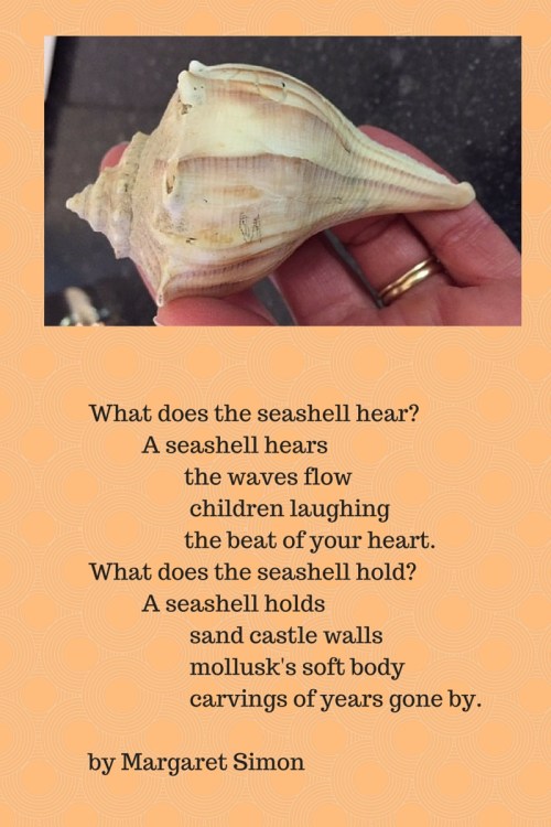Sea Shell Wisdom