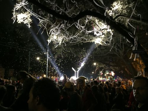 Toilet paper hangs like ornaments lit up by Bacchus lights. 