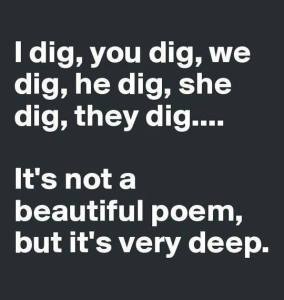 Dig poetry