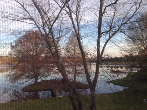 View of the lake from an upstairs window.