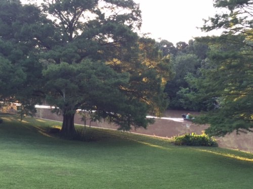 Summer brings more boat traffic to the bayou.  