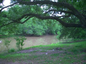 Photo by Cajun Byrd on flickr.