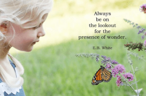 Childhood Wonder by @journeynorthed