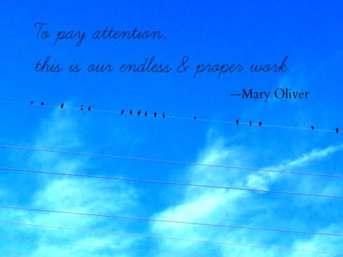 Pay attention quote