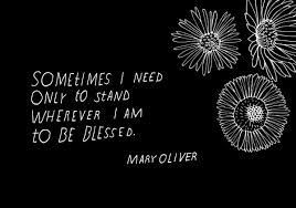aa-mary-oliver