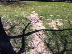 Photo by Laura P. Salas