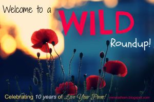 Read more Wild posts in Irene Latham's Blogiversary Round up. 