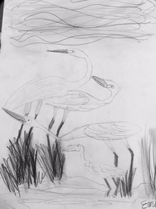 Emily reproduced the cover of "Over in the Wetlands" in her drawing.